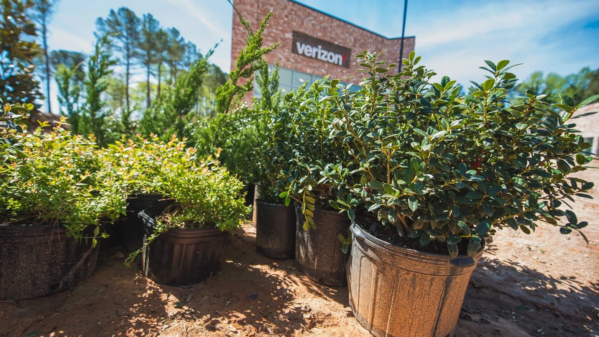 Commercial landscaping service photo — maintained grounds and curb appeal.