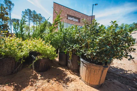 Commercial landscaping service photo — maintained grounds and curb appeal.