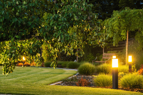 LED landscape lighting illuminating a commercial entrance sign at night.