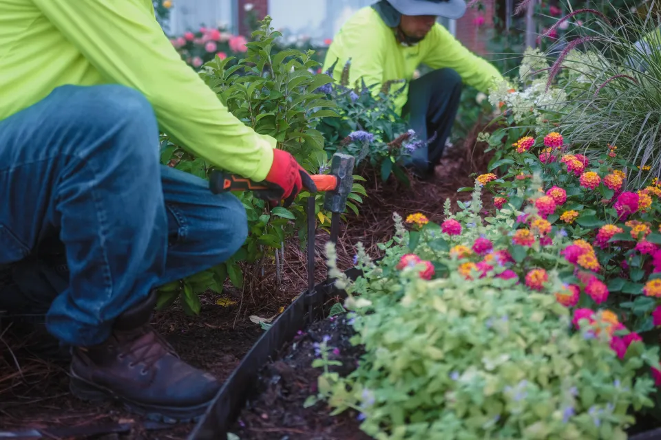 Commercial landscape installation on a managed property
