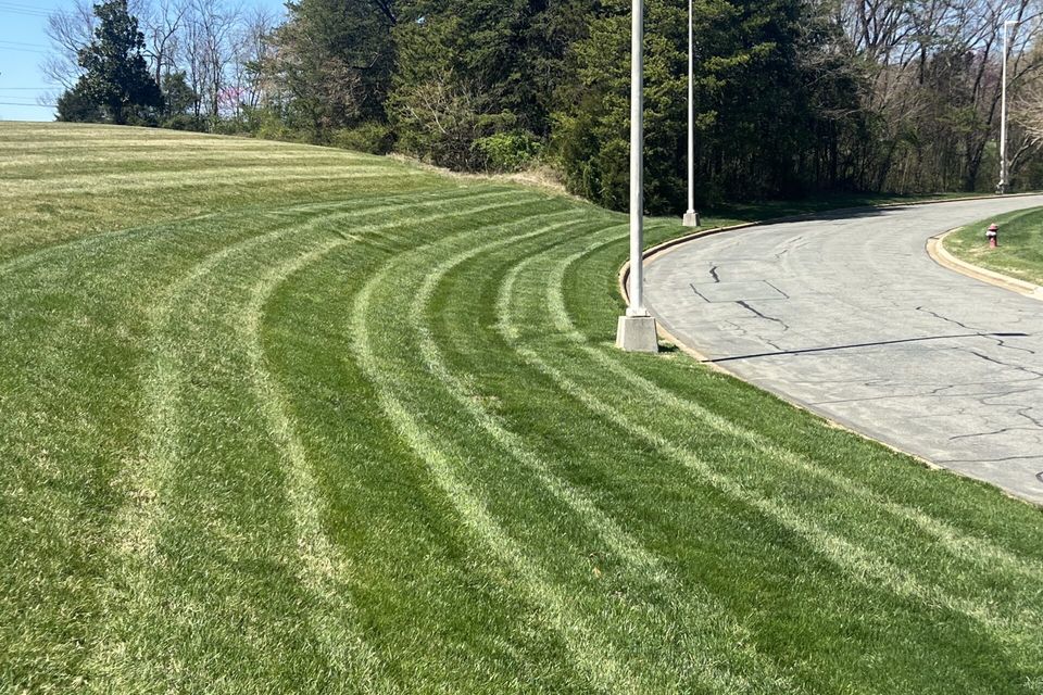 Commercial landscape maintenance — wide property view.