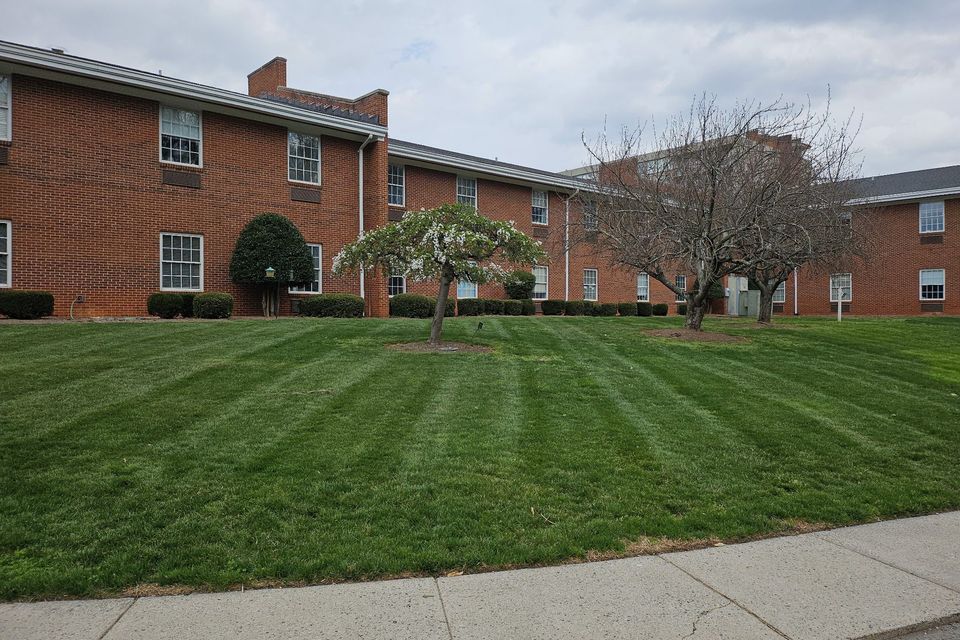 Commercial landscape maintenance — bed lines and turf care.