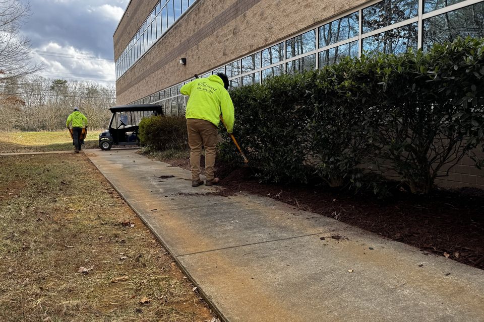 Commercial landscape maintenance — curb appeal along walkways.