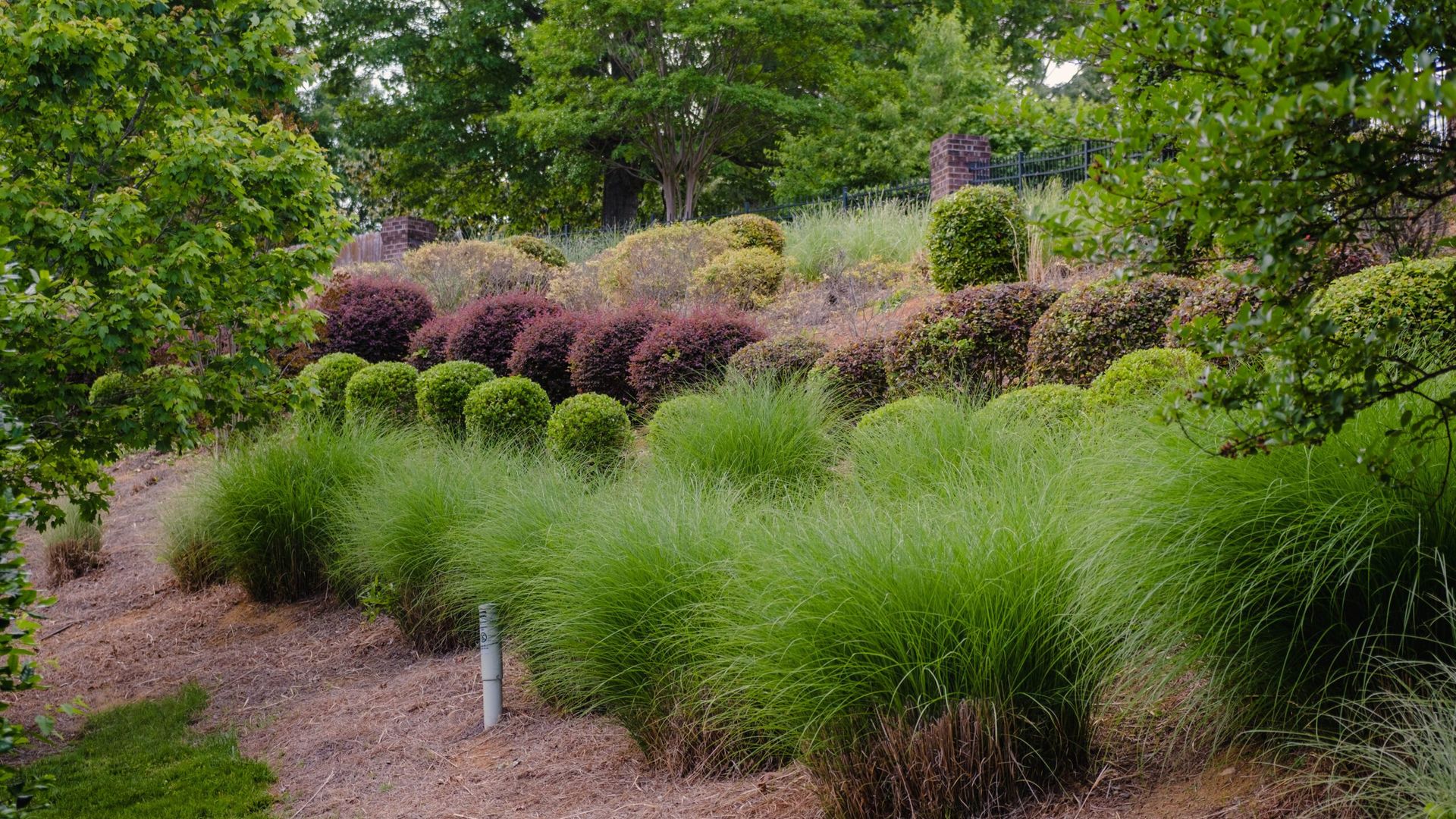 Commercial landscape maintenance — clean lines and consistent upkeep.